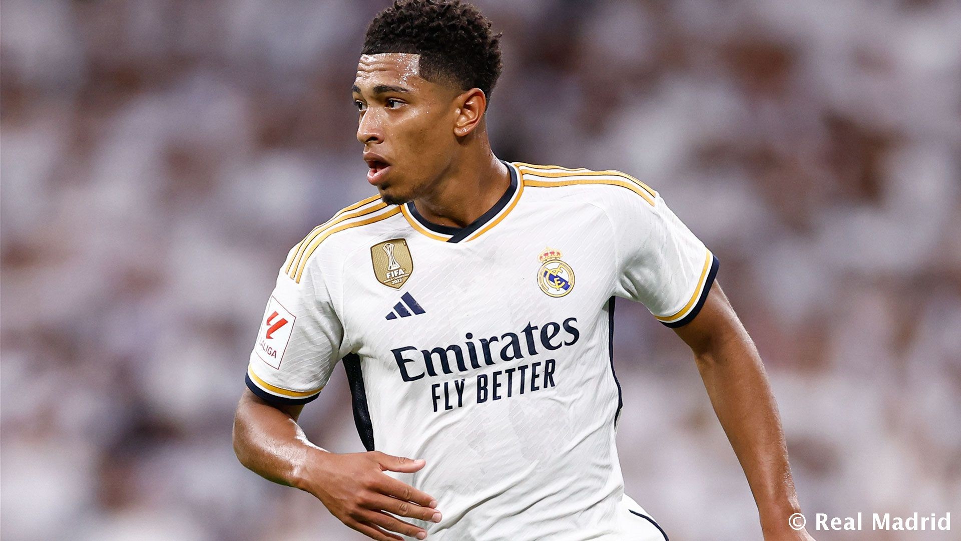 美记：国王GM迫切想要交易拉文，他认为球队失分多都怪拉文（美媒称国王GM急寻交易拉文，指球队失分居高皆因他）